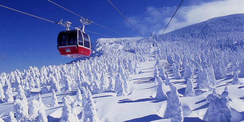 スキー・スノーボード　レンタル　蔵王　山形スワローレンタサービス　山形県蔵王の樹氷